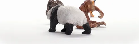 Schleich Wild Life - Asien - Starter Sæt - 42736