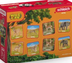 Schleich Wild Life - Asien - Starter Sæt - 42736