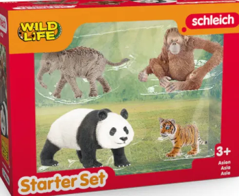 Schleich Wild Life - Asien - Starter Sæt - 42736