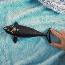 Schleich Wild Life - Nordatlantsk Rethval - 14878