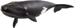 Schleich Wild Life - Nordatlantsk Rethval - 14878