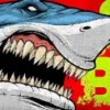 Skids Control - Skateboard Shark 71 CM