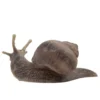 Snegl Figur - Vinbjergsnegl - 64375 - Bullyland