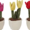 Take Me Home - Tulipan Plante Bamse - 27 CM - Assorteret