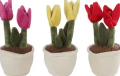 Take Me Home - Tulipan Plante Bamse - 27 CM - Assorteret