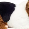 Teddy Hermann - Marsvin Bamse - Trefarvet - 20 CM