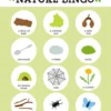 Tender Leaf - Naturekspedition Med Legemåtte
