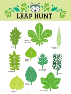 Tender Leaf - Naturekspedition Med Legemåtte