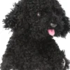 Top Model - Hunde Bamse - Sort - 16 CM